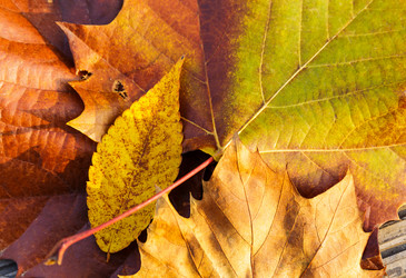 Similar image 6095392