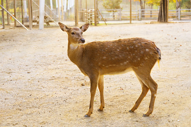 Similar image 6095395