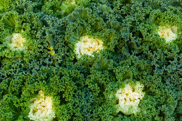 Similar image 6095396