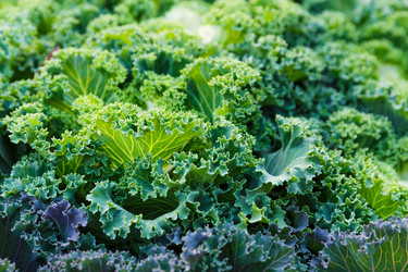 Similar image 6095397