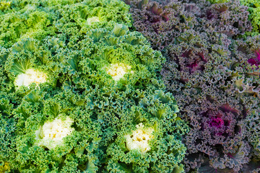 Similar image 6095399