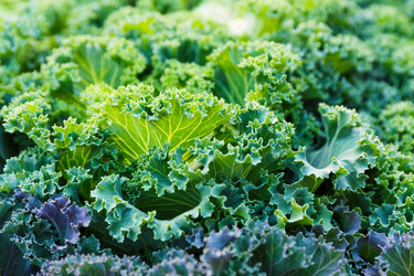 Similar image 6095401