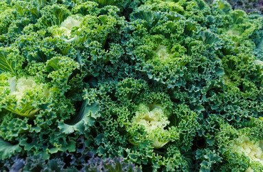 Similar image 6095402