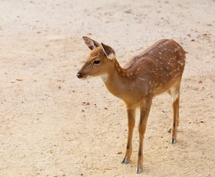 Similar image 6095404