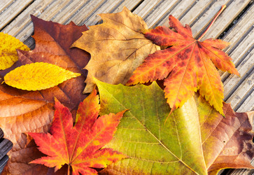 Similar image 6095407