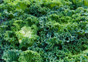 Similar image 6095414