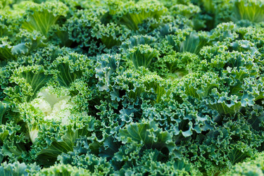 Similar image 6095429