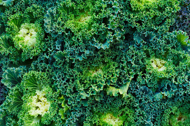 Similar image 6095430