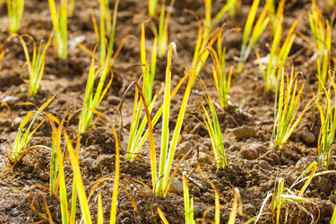 Similar image 6095518