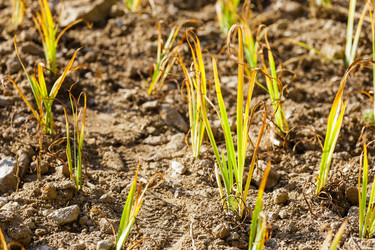 Similar image 6095519