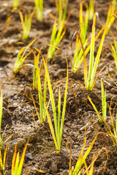 Similar image 6095521