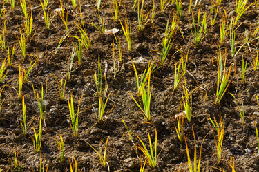 Similar image 6095524