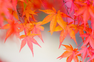 Similar image 6095536