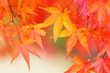 Similar image 6095541