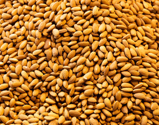 Similar image 6095561