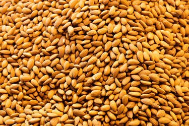 Similar image 6095633