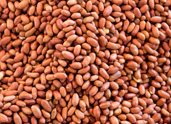 Similar image 6095635