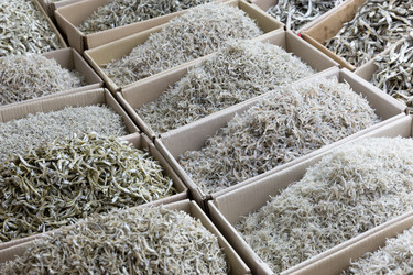 Similar image 6095644