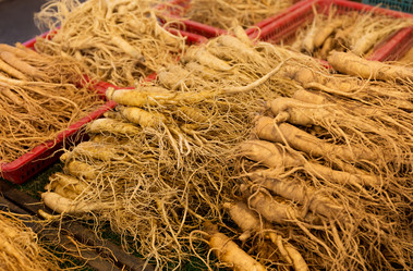 Similar image 6095656