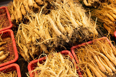 Similar image 6095668