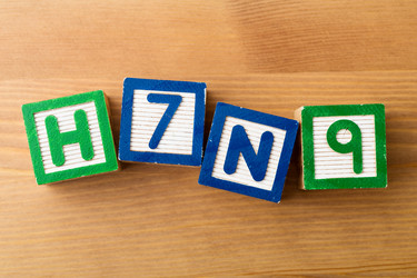 Similar image 6095959