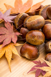 Similar image 6096053