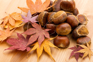 Similar image 6096054