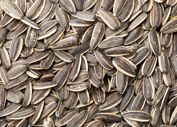 Similar image 6096081