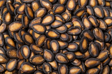 Similar image 6096105