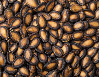 Similar image 6096109