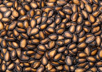 Similar image 6096145