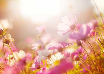 Similar image 6096187