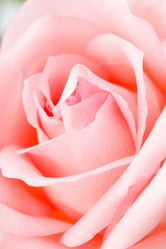 Similar image 6096195