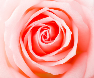 Similar image 6096204