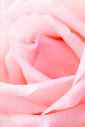 Similar image 6096207