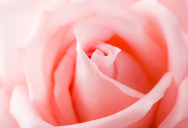 Similar image 6096208