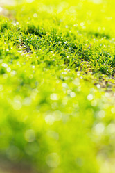 Similar image 6096217