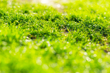 Similar image 6096218