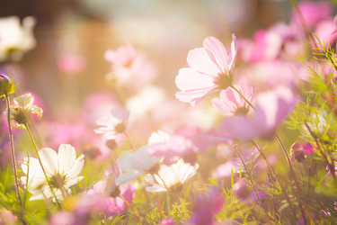 Similar image 6096228