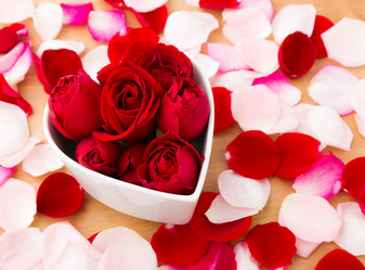 Similar image 6096243