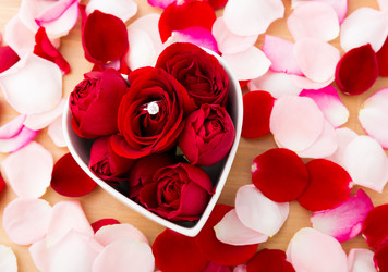 Similar image 6096247