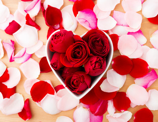 Similar image 6096254