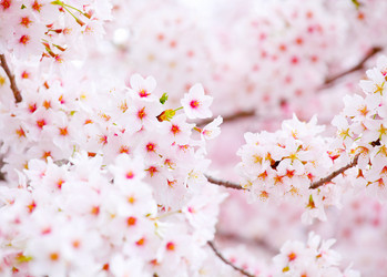 Similar image 6096319