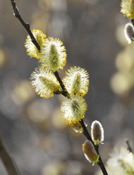 Similar image 6096327