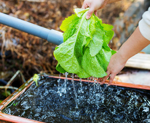 Similar image 6096372