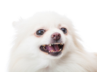 Similar image 6096418