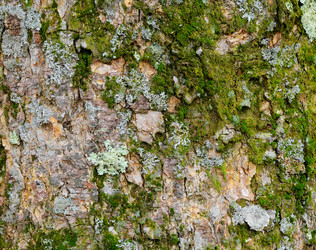 Similar image 6096426