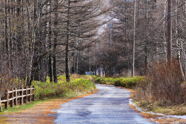 Similar image 6096467