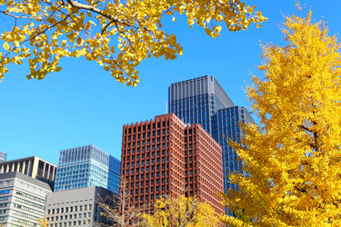 Similar image 6096489