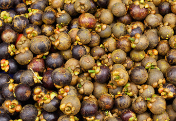 Similar image 6096505